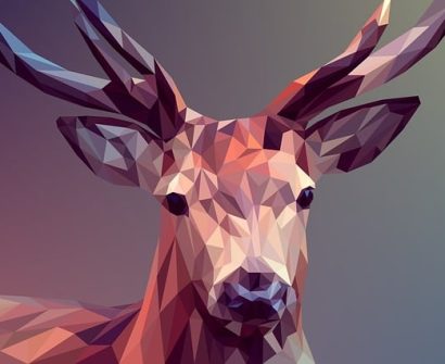 Graphic Designing Course Admissions Open for 2024